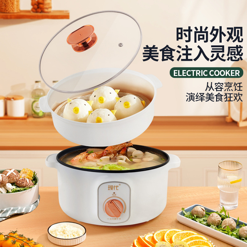 다기능 미니 전기 핫팟 휴대용 학생 기숙사 전기 냄비  - Kitchen Appliances Cooking 리뷰 및 가격