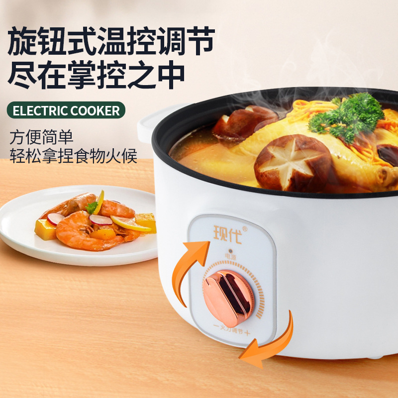 다기능 미니 전기 핫팟 휴대용 학생 기숙사 전기 냄비  - Kitchen Appliances Cooking 리뷰 및 가격